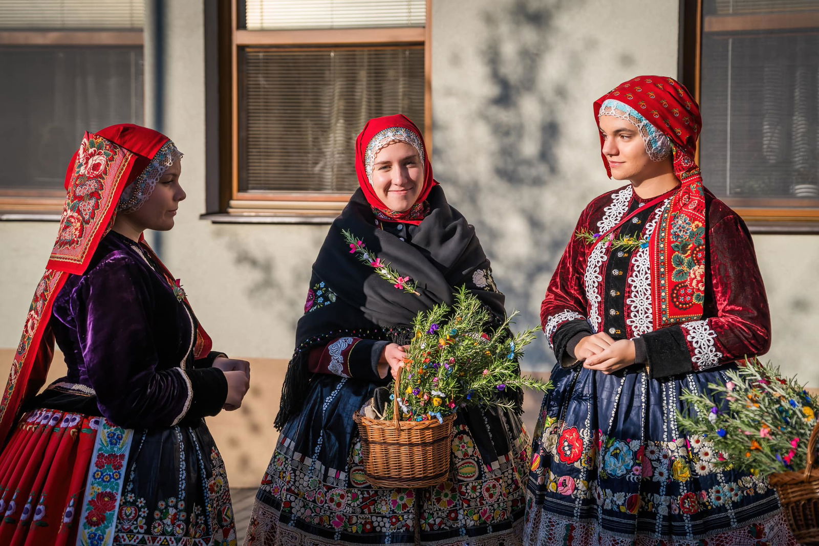 467460025_992388829592522_76393030918191099_n